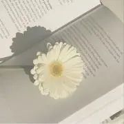 えのの画像