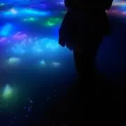 はくまいの画像