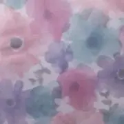 ケイの画像