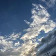 ハル