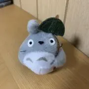 saaの画像