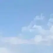 たなはの画像