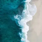 Cocoの画像