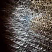 Mo