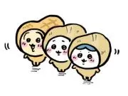 choco♡の画像