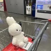 はんぺんの画像