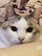 じゅんの画像