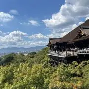 マルの画像
