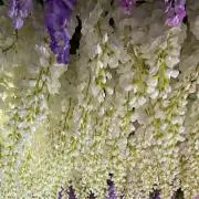 aivyの画像