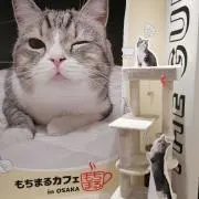 R★の画像