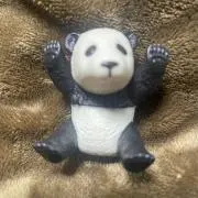 ハラマキの画像