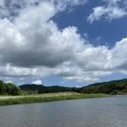 かなの画像