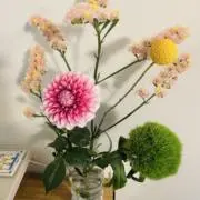 かかはる830の画像