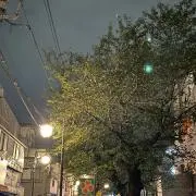 ほぼぼの画像