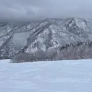 まーの画像