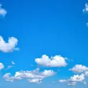 msの画像