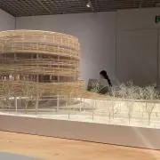 たーの画像