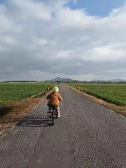 piyo