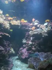 うーたん☆の画像
