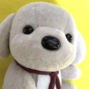ワン吉の画像