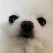 coco※プロフ必読