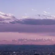 うさの画像