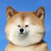 chihirooooonの画像