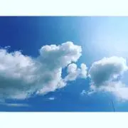 mameshibaの画像