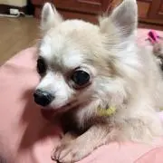 ラルたん