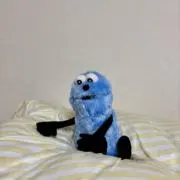 もっけの画像