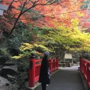 Tsubomiの画像