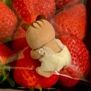 ちひろの画像