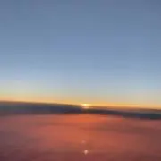 y.の画像
