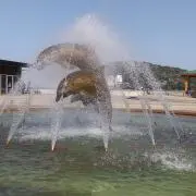 YOKOの画像