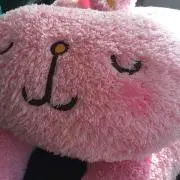 うさぎ。の画像