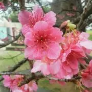 ほりほり＊プロフ必読＊