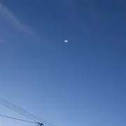 タカタキの画像