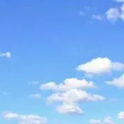 ボウ（24時間以内に発送、買って欲しい）の画像