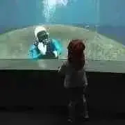 ティグワン☺︎の画像