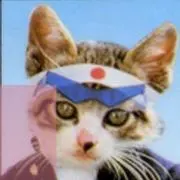 はっぴ～企画の画像