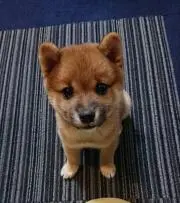 *✰︎まめ✰꙳の画像