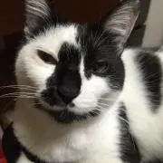 うなななな