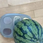 ゾノ