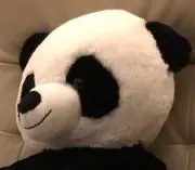 じじ