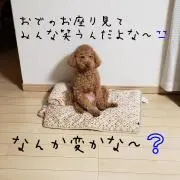 さとう ひろたかの画像