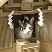 すし太郎