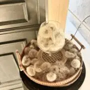 mrmtの画像