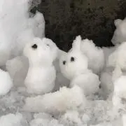 ゆうすけ