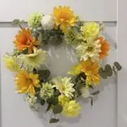 ドルフィンの画像