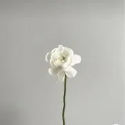 unの画像